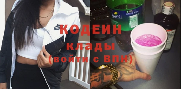 молекула духа Арсеньев