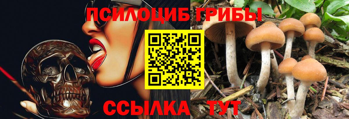Тула  Псилоцибиновые грибы мицелий  Вход с VPN 