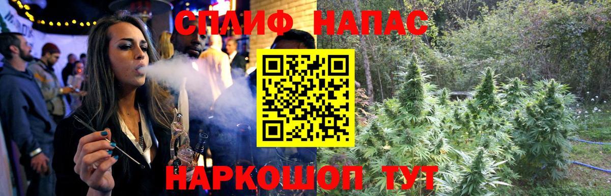 Бошки марихуана ГИДРОПОН  МАРИХУАНА планчик  Тула  Вход с VPN  Конопля Ganja 