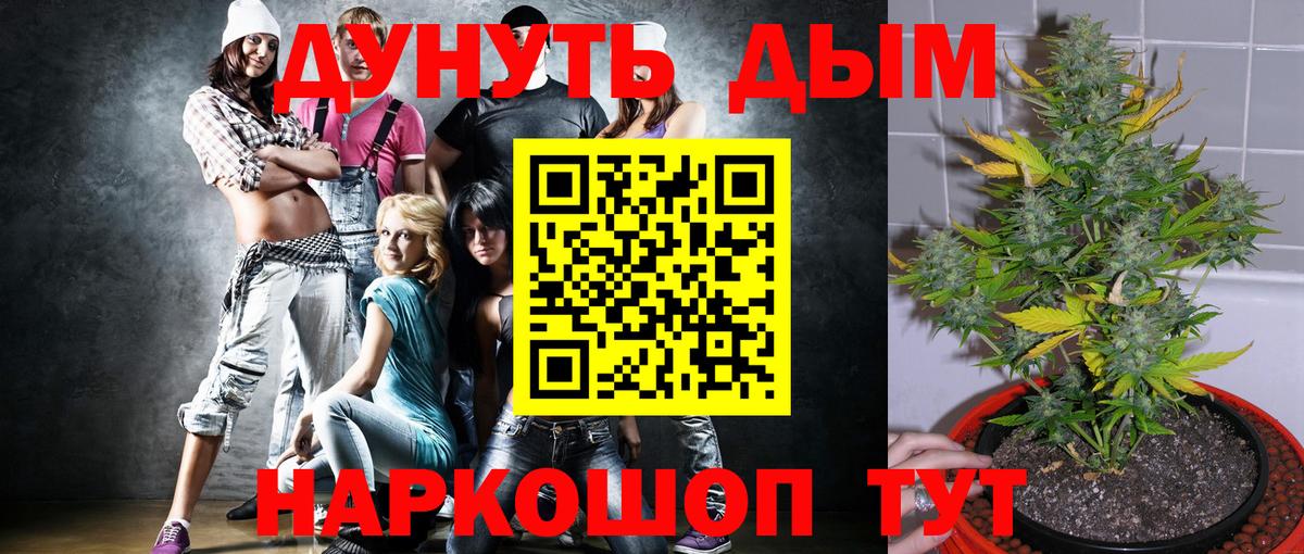 Шишки марихуана план  Вход с VPN  Канабис план  МАРИХУАНА VHQ  Каннабис сатива  Тула 